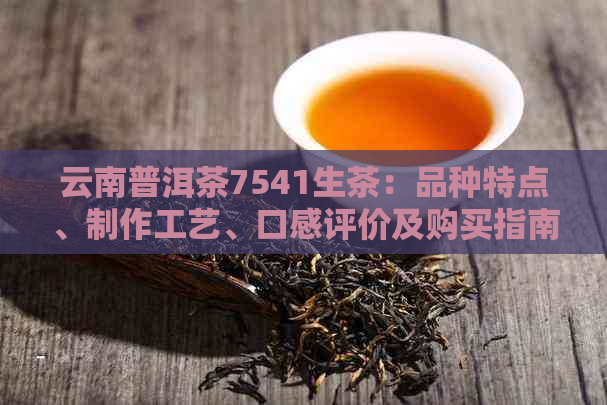 云南普洱茶7541生茶：品种特点、制作工艺、口感评价及购买指南