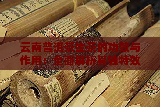 云南普洱茶生茶的功效与作用：全面解析其独特效益