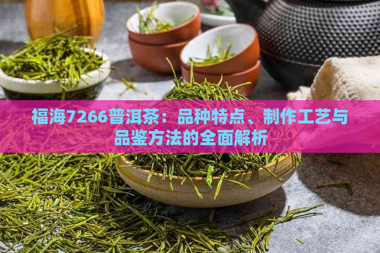 福海7266普洱茶：品种特点、制作工艺与品鉴方法的全面解析