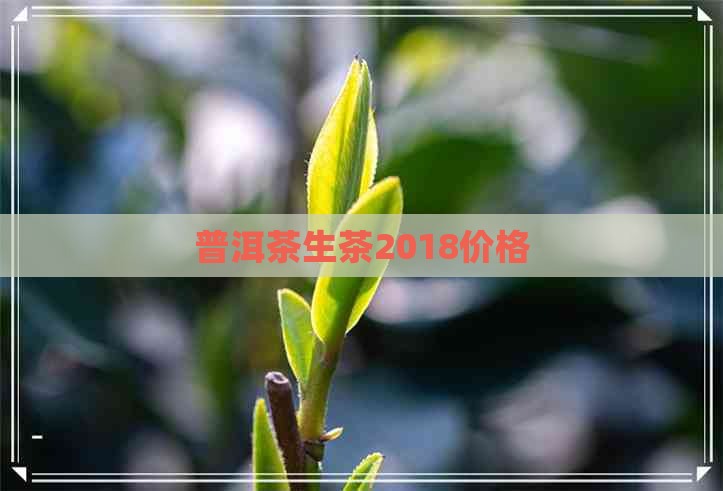 普洱茶生茶2018价格