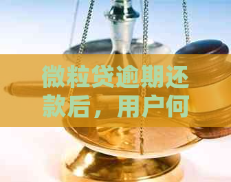 微粒贷逾期还款后，用户何时可以再次申请借款？需要等待多久？