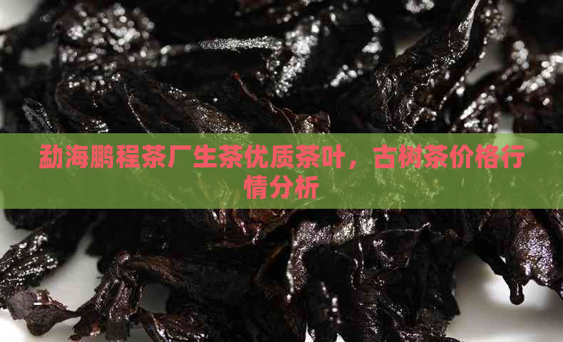 勐海鹏程茶厂生茶优质茶叶，古树茶价格行情分析