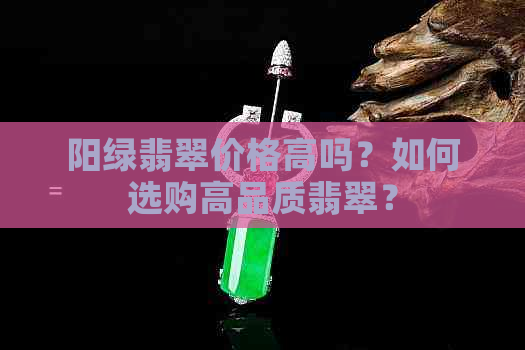 阳绿翡翠价格高吗？如何选购高品质翡翠？