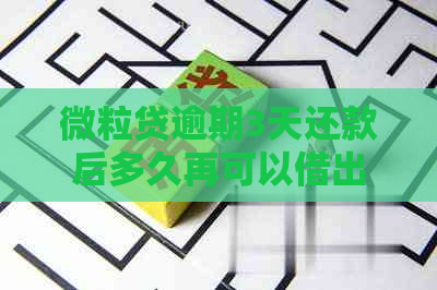 微粒贷逾期3天还款后多久再可以借出来：逾期后再次借款的时间规定