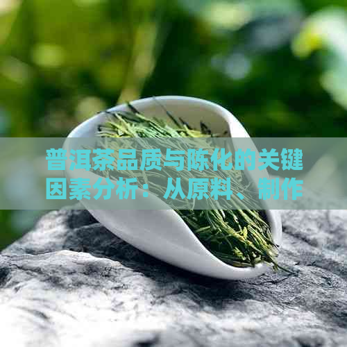 普洱茶品质与陈化的关键因素分析：从原料、制作工艺到存环境的综合探讨