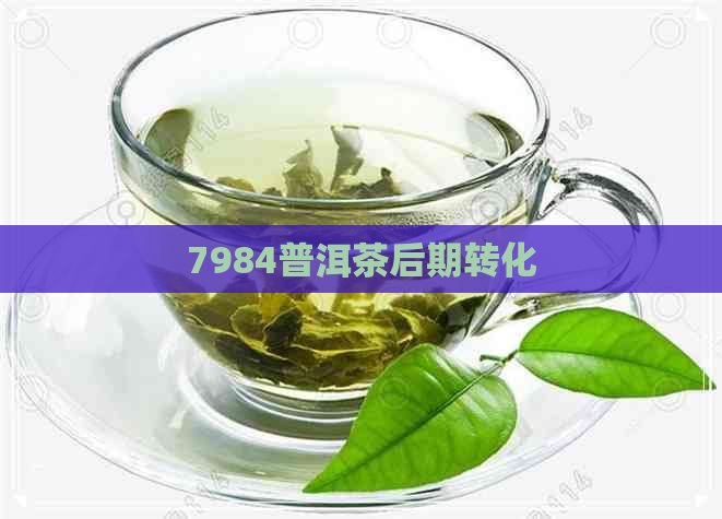 7984普洱茶后期转化