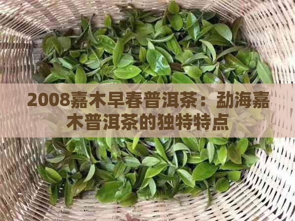 2008嘉木早春普洱茶：勐海嘉木普洱茶的独特特点