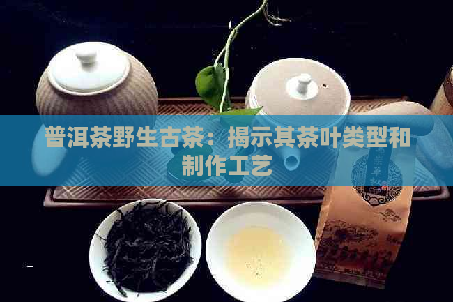 普洱茶野生古茶：揭示其茶叶类型和制作工艺