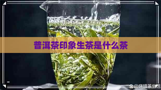 普洱茶印象生茶是什么茶