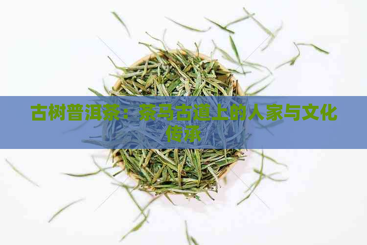 古树普洱茶：茶马古道上的人家与文化传承