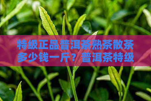 特级正品普洱茶熟茶散茶多少钱一斤？普洱茶特级是什么意思？是不是？