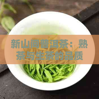 新山间普洱茶：熟茶与生茶的品质与口感对比，哪个更适合你？