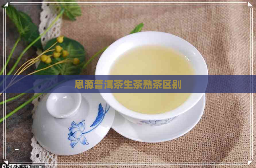 思源普洱茶生茶熟茶区别