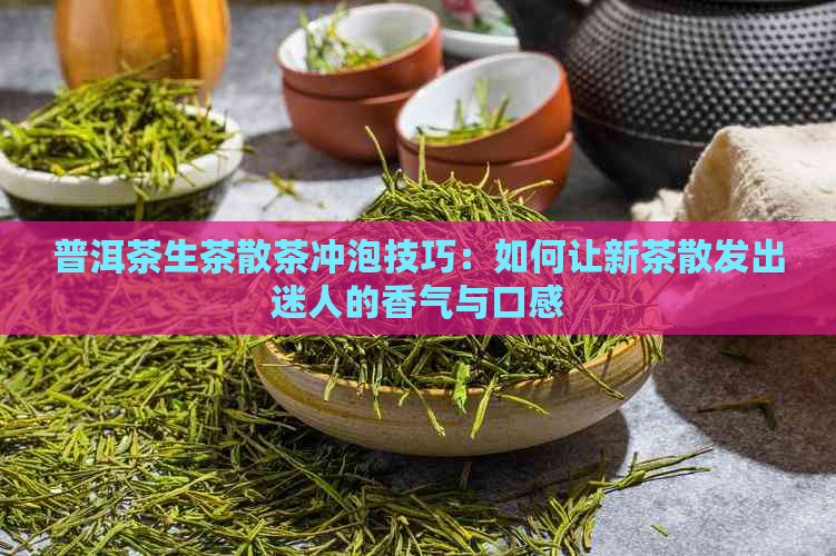 普洱茶生茶散茶冲泡技巧：如何让新茶散发出迷人的香气与口感