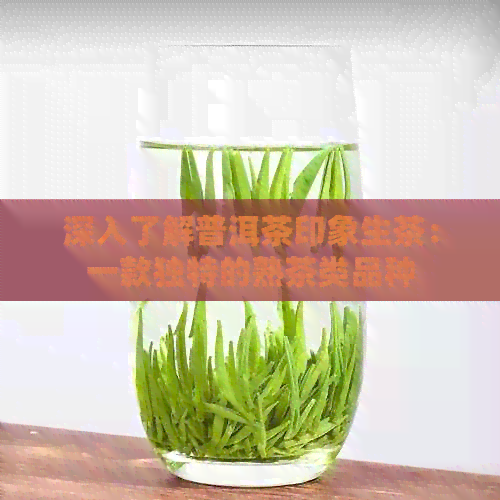 深入了解普洱茶印象生茶：一款独特的熟茶类品种