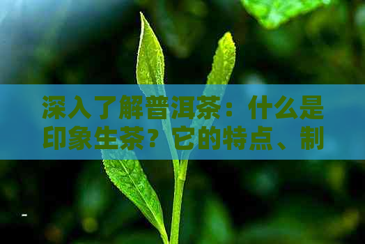 深入了解普洱茶：什么是印象生茶？它的特点、制作工艺及品饮方法全解析