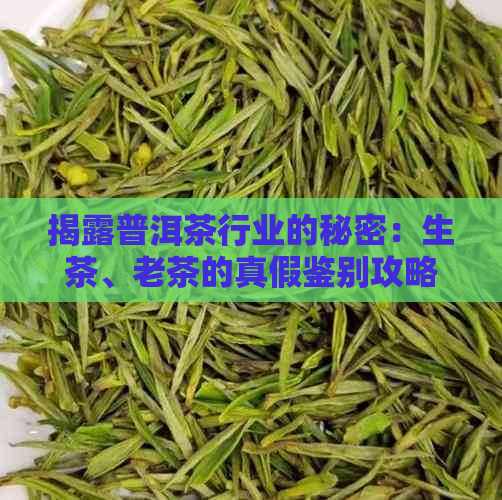 揭露普洱茶行业的秘密：生茶、老茶的真假鉴别攻略