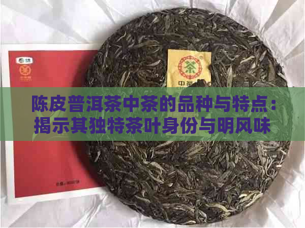 陈皮普洱茶中茶的品种与特点：揭示其独特茶叶身份与明风味