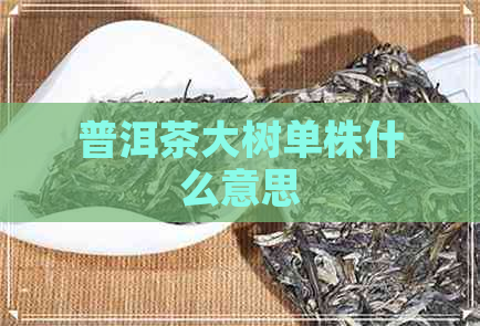 普洱茶大树单株什么意思