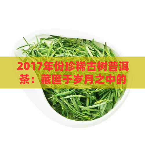 2017年份珍稀古树普洱茶：藏匿于岁月之中的醇厚韵味