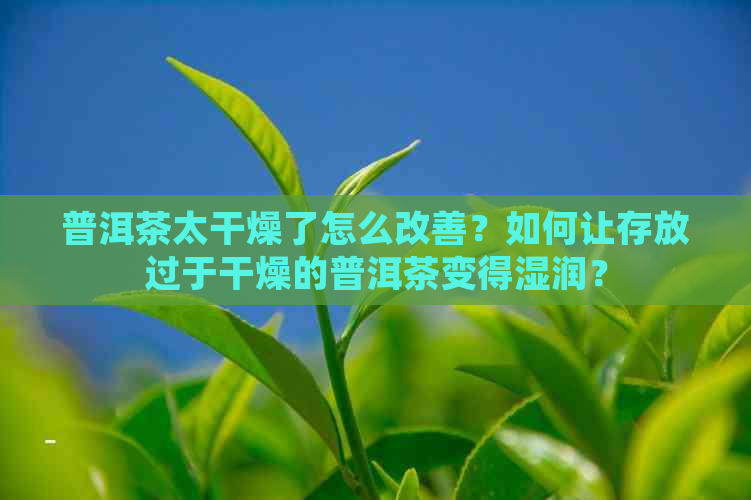 普洱茶太干燥了怎么改善？如何让存放过于干燥的普洱茶变得湿润？