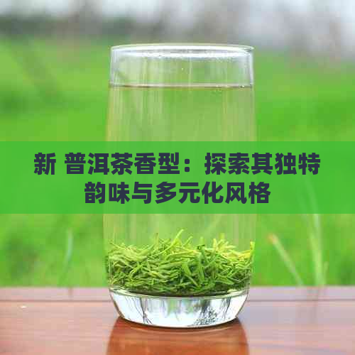 新 普洱茶香型：探索其独特韵味与多元化风格