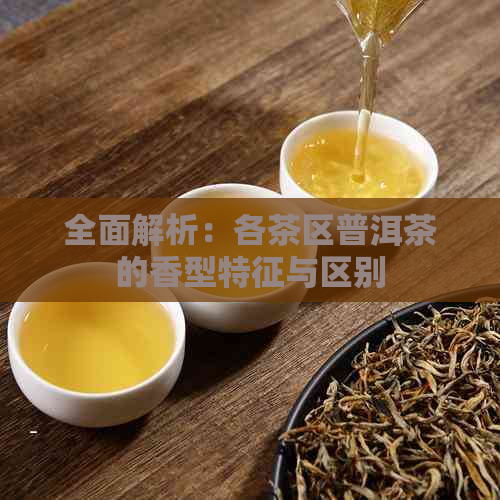 全面解析：各茶区普洱茶的香型特征与区别