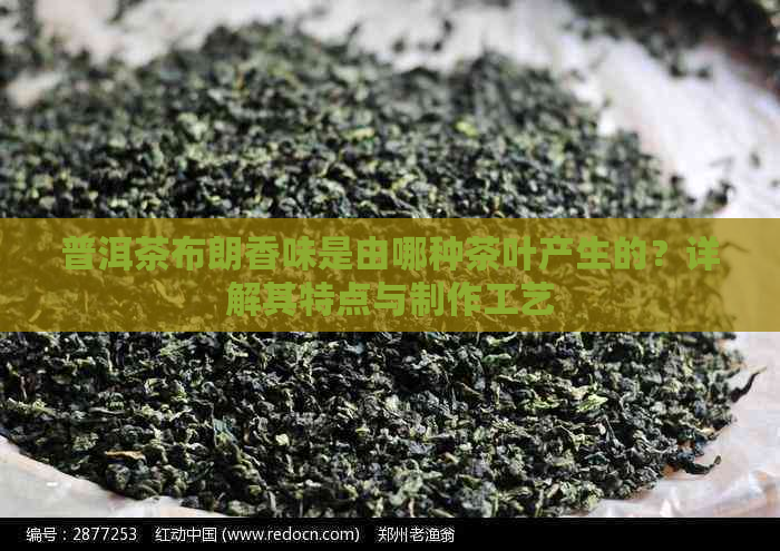 普洱茶布朗香味是由哪种茶叶产生的？详解其特点与制作工艺