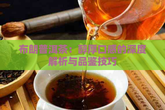 布朗普洱茶：醇厚口感的深度解析与品鉴技巧