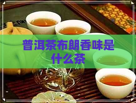 普洱茶布朗香味是什么茶