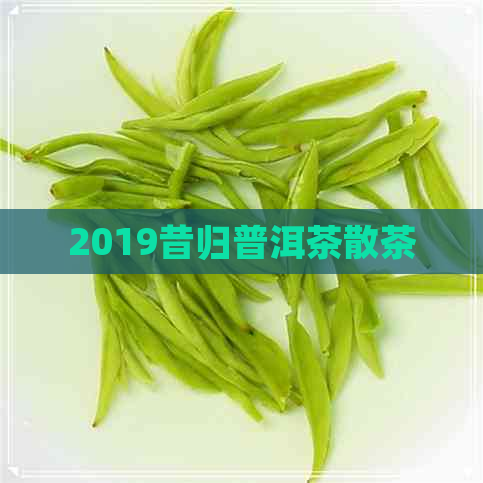 2019昔归普洱茶散茶