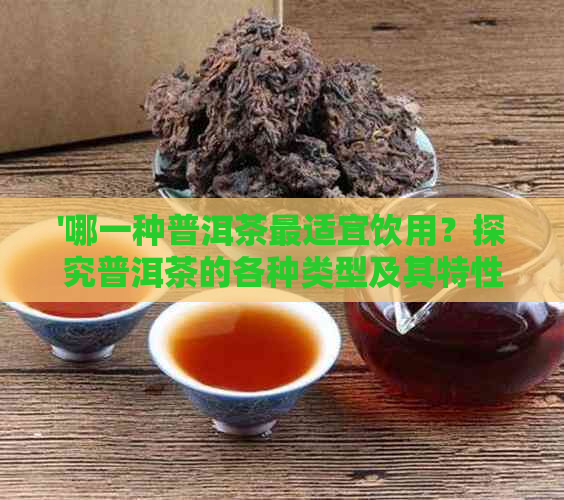 '哪一种普洱茶最适宜饮用？探究普洱茶的各种类型及其特性'