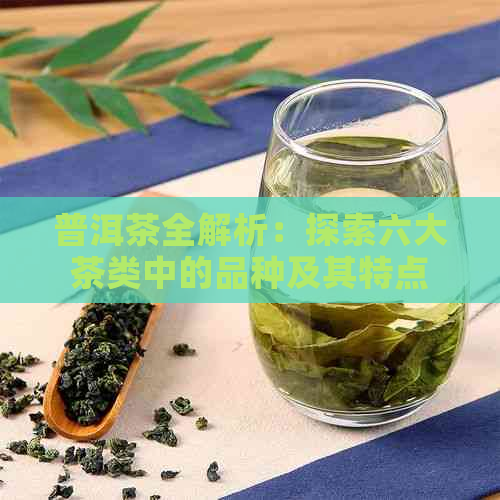 普洱茶全解析：探索六大茶类中的品种及其特点