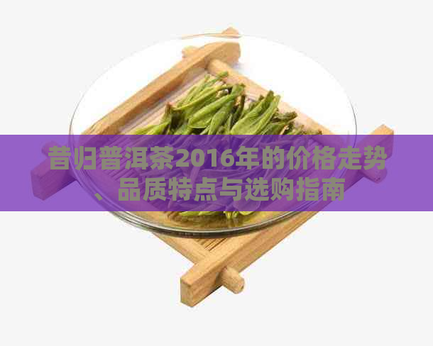 昔归普洱茶2016年的价格走势、品质特点与选购指南