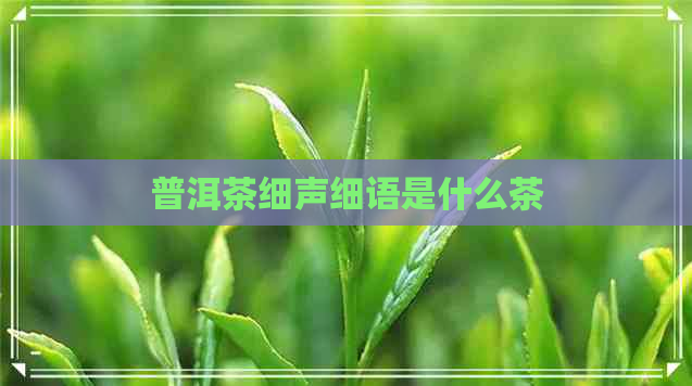 普洱茶细声细语是什么茶