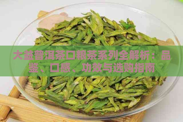 大益普洱茶口粮茶系列全解析：品鉴、口感、功效与选购指南