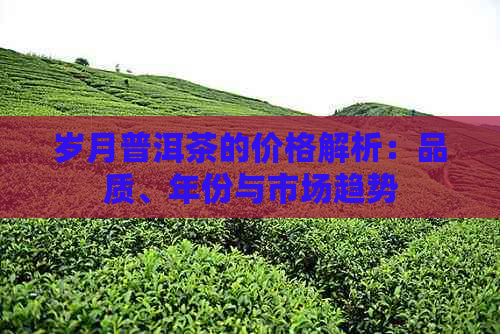 岁月普洱茶的价格解析：品质、年份与市场趋势