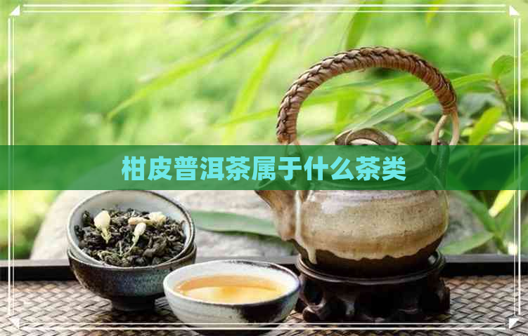 柑皮普洱茶属于什么茶类