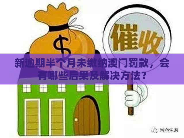 新逾期半个月未缴纳罚款，会有哪些后果及解决方法？