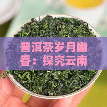 普洱茶岁月幽香：探究云南名茶的魅力与品种