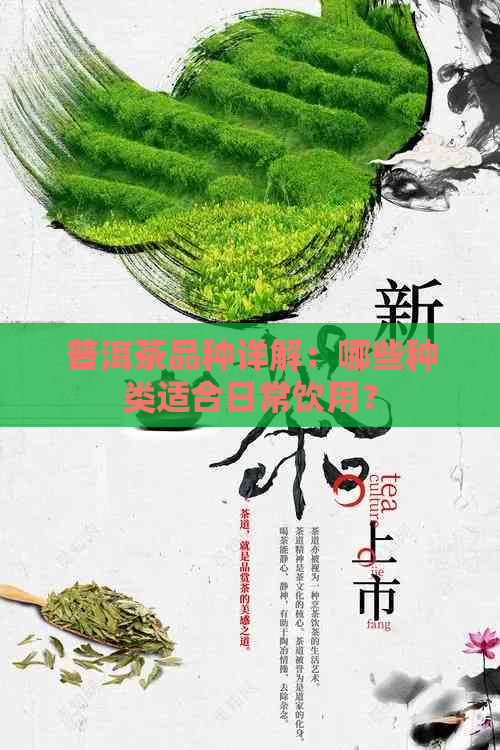 普洱茶品种详解：哪些种类适合日常饮用？