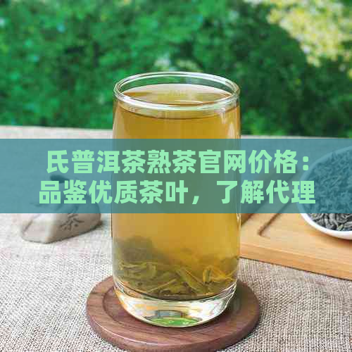 氏普洱茶熟茶官网价格：品鉴优质茶叶，了解代理加盟详情