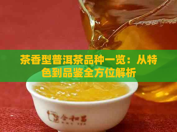 茶香型普洱茶品种一览：从特色到品鉴全方位解析