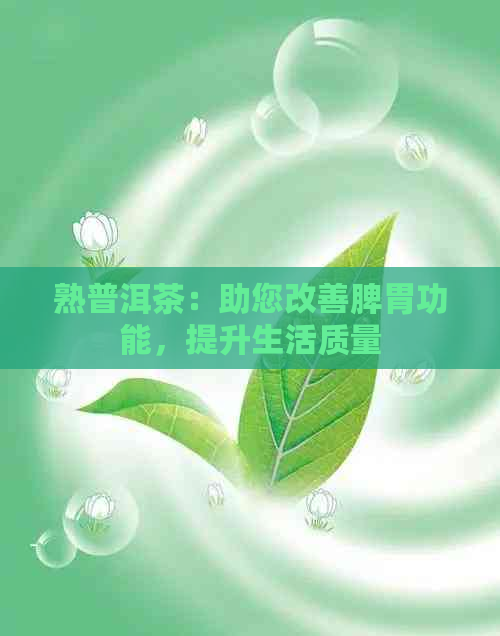 熟普洱茶：助您改善脾胃功能，提升生活质量