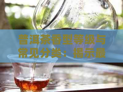 普洱茶香型等级与常见分类：揭示最受喜爱的五种普洱香型