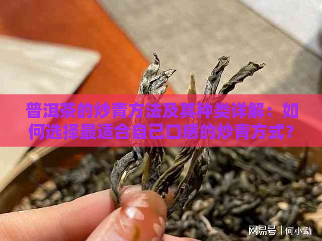 普洱茶的炒青方法及其种类详解：如何选择最适合自己口感的炒青方式？