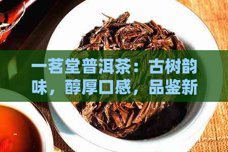 一茗堂普洱茶：古树韵味，醇厚口感，品鉴新境界