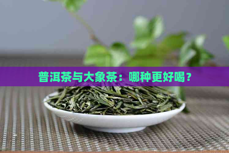 普洱茶与大象茶：哪种更好喝？