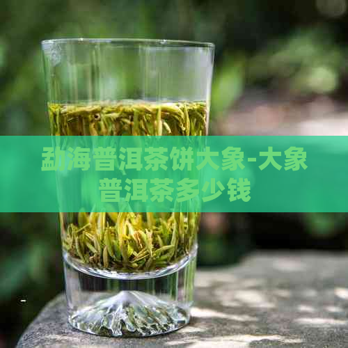 勐海普洱茶饼大象-大象普洱茶多少钱