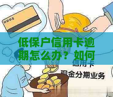 低保户信用卡逾期怎么办？如何申请停息分期？